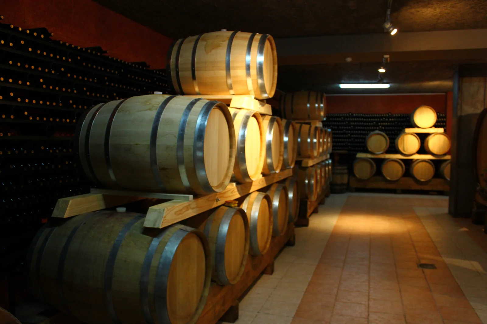 Herzegovina Wine Guide 2026 — Žilavka, Blatina & the 22-Winery Route